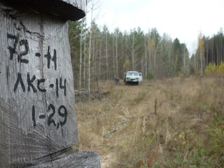 У просеки никитич осторожно выглянул из чащи. Траханиотово. Траханиотово указатель. П/Л Дружба Траханиотово Кузнецкий район. История села Траханиотово.