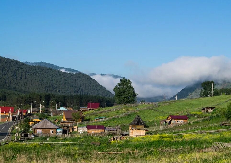 Погода камлак республика алтай на 14 дней. Село камлак. Камлак горный алтай. Село камлак горный алтай. Село камлак республика алтай.