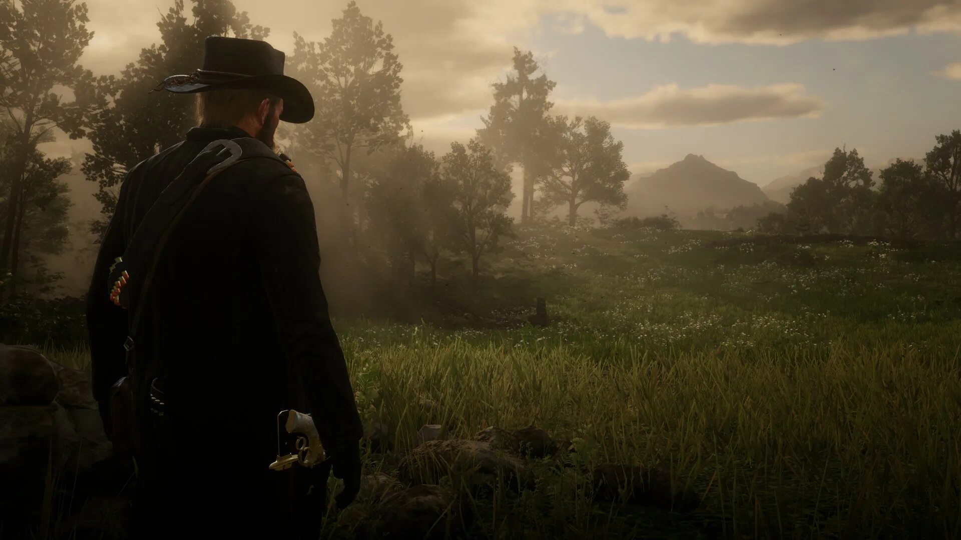 Rdr 2 разрешение