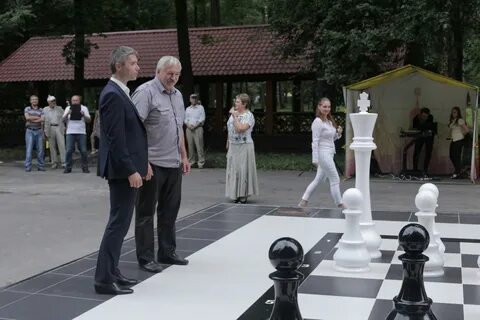Шахматы тула