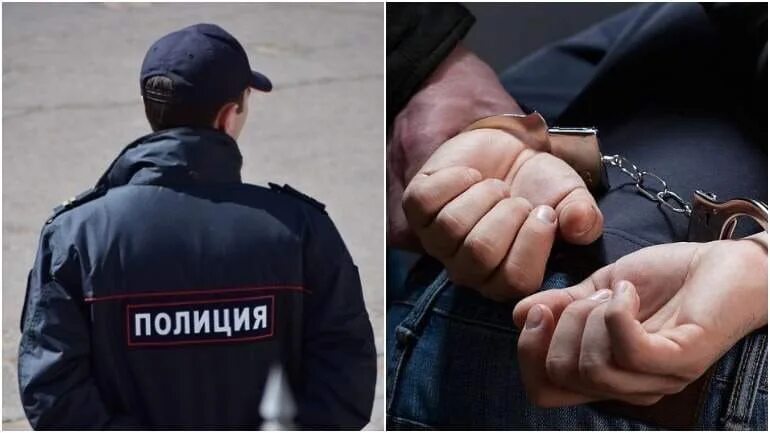 Можно оскорблять полицию