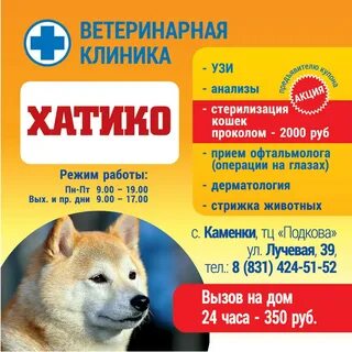 Отзывы клиники хатико