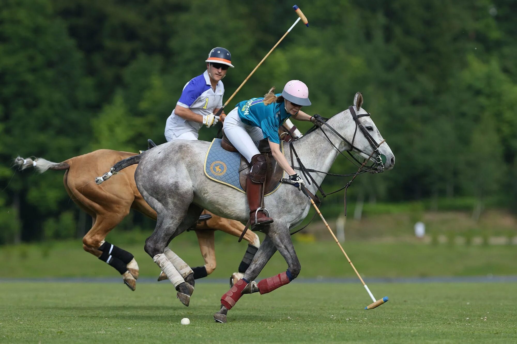 Polo Sport поло. Поло для конного спорта. Конное поло Англия. Великобританское Конное поло. Кони вид спорта