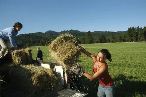 Farm job