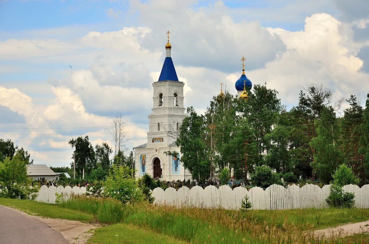 Андреевские выселки. Андреевские Выселки храм. Храм Власово Церковь Спаса Преображения (Андреевские Выселки). Андреевские Выселки Шатура Церковь. Андреевские Выселки Зарайск.