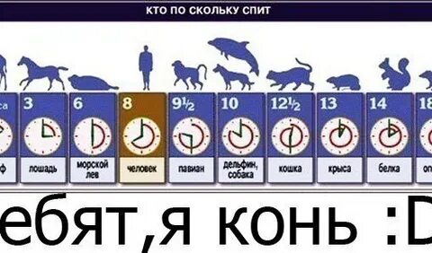 Сколько будет кто в москве