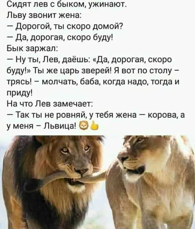 Если мужчина называет дорогая