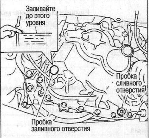 Заливная пробка КПП Ниссан Альмера g15. Заливная пробка Ниссан Альмера Классик н16. Заливная пробка КПП Альмера н16. Заливная пробка МКПП Ниссан Альмера Классик. Как проверять масло в акпп ниссан