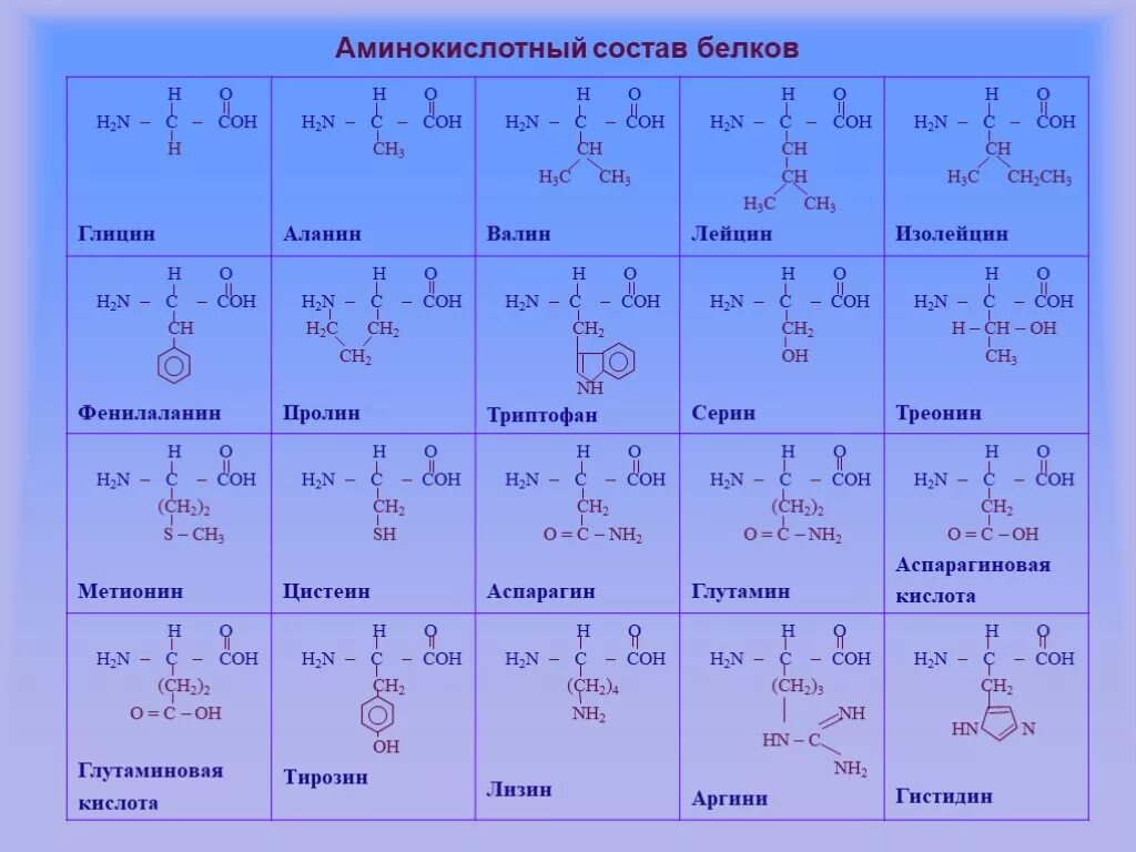10 формул аминокислот. Альфа аминокислоты входящие в состав белков. Таблица 20 аминокислот химия. 20 Основных Альфа аминокислот. Строение 20 аминокислот.
