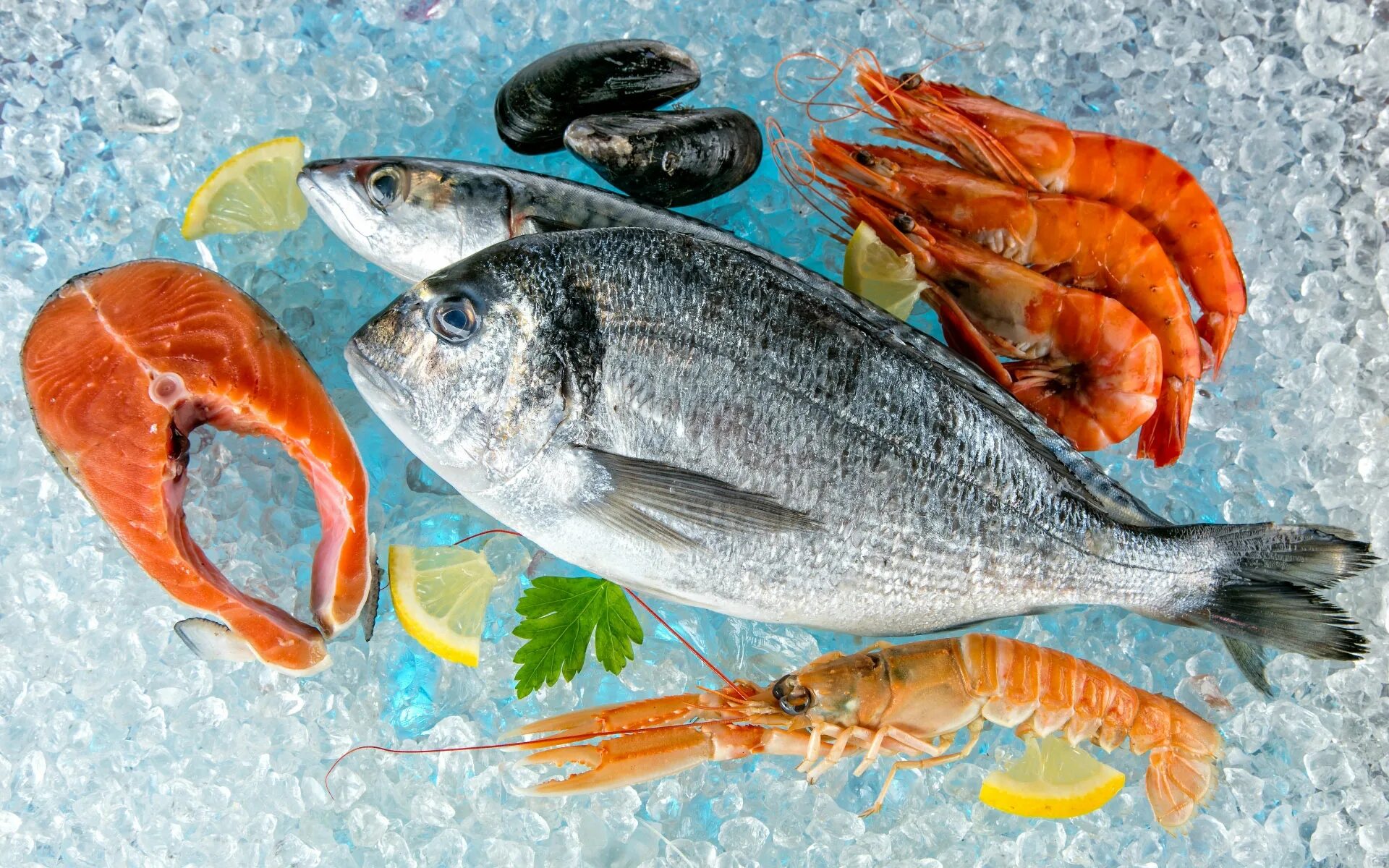 Сырая рыба много. Рыба и морепродукты. свежемороженая рыба. мор рыбы. свежая рыба и морепродукты.