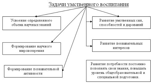 Задачи интеллектуального развития. Схема задачи умственного воспитания дошкольников. Составить схему задачи умственного воспитания дошкольников. Составьте схему задачи умственного воспитания дошкольников. Средства умственного воспитания дошкольников схема.