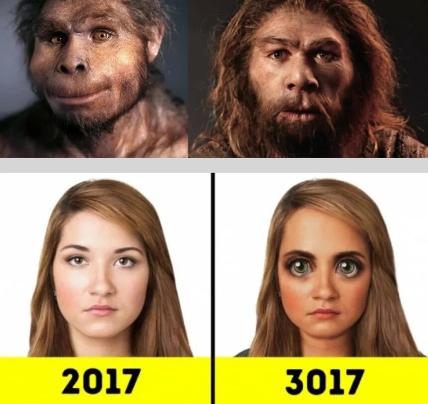 Камбербэтч бенедикт потомок ричарда 3. Мемы про потомков пушкина. Потомок хотя. Ричард 3 плантагенет и камбербэтч. Потомок хотя.