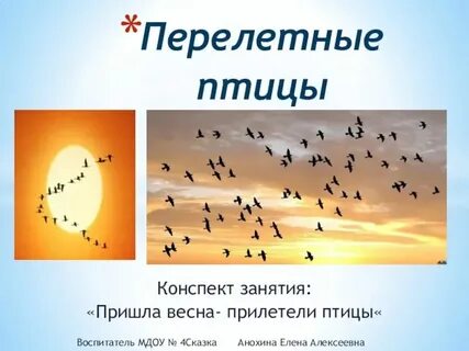 Приходит время с юга птицы прилетают автор