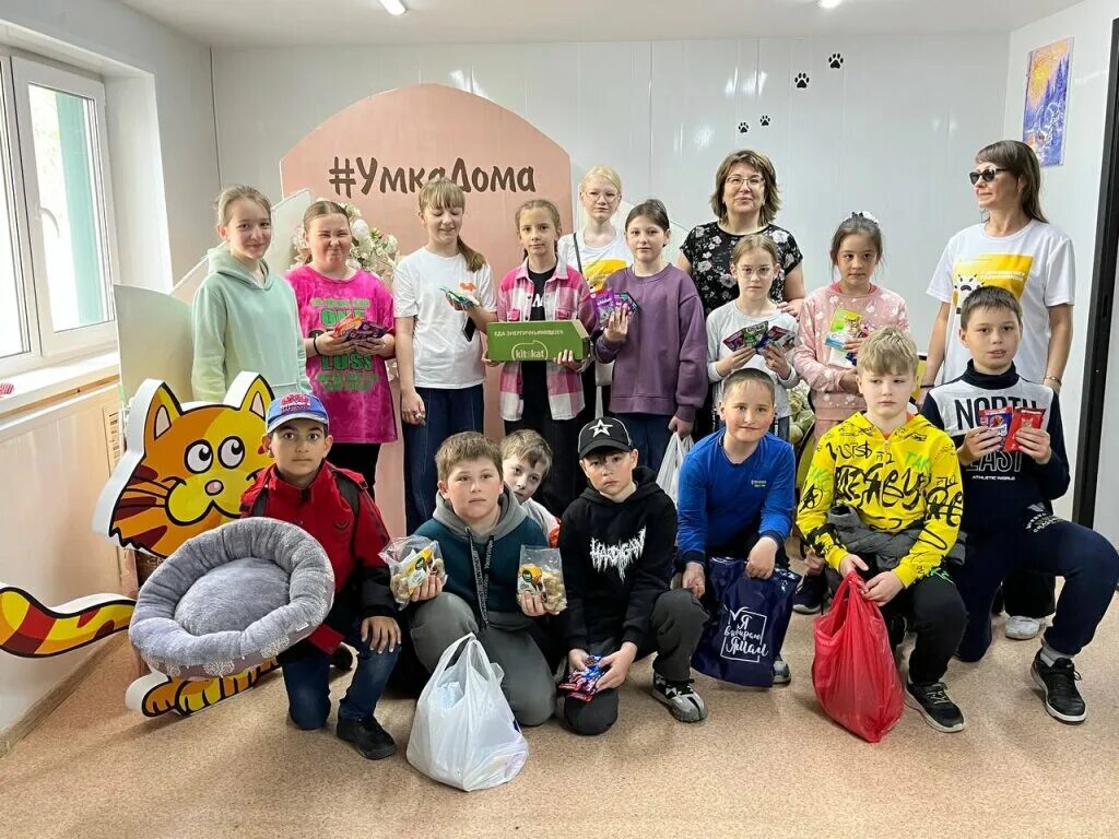 Умка приют для животных владивосток. Умка приют для животных владивосток