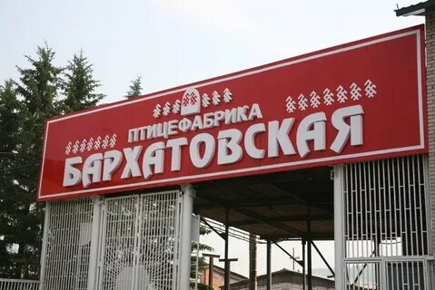 Красноярская птицефабрика
