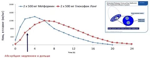 Лонг действие