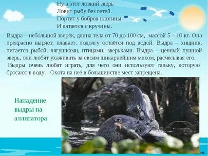 Пресный это какой