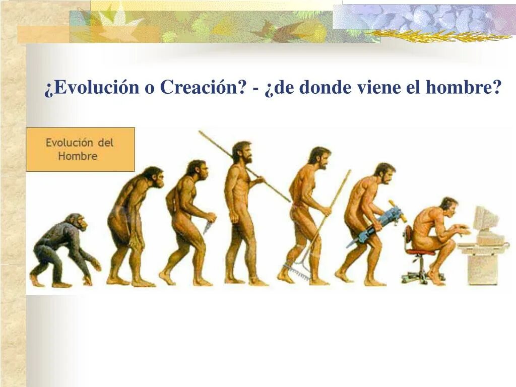 Эволюция человека. Человек как продукт биологической эволюции. Эволюция человека от обезьяны. Эволюция от обезьяны до человека.