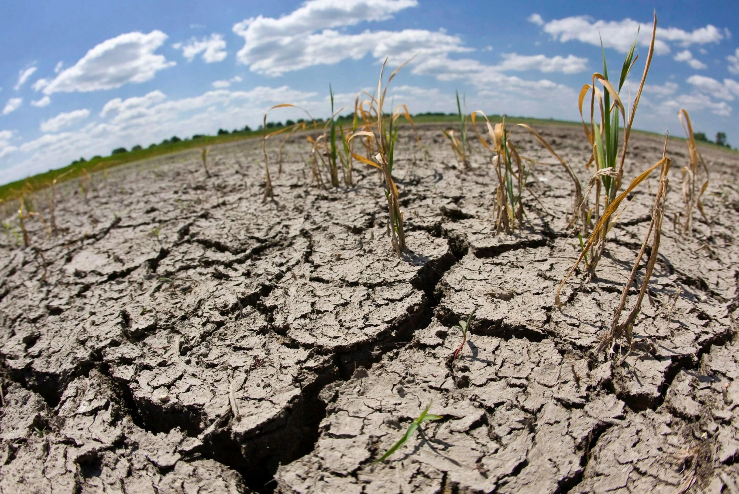 Засуха. Почвенная засуха. Засуха в Казахстане. Истощение почвы.