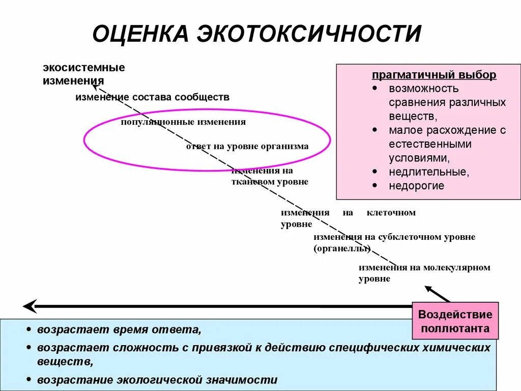 Процесс качественного изменения. Оценка экотоксичности. Экотоксичность отходов. Экотоксикология рисунок. Экотоксические эффекты это.