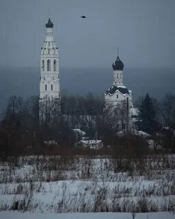 Липицы