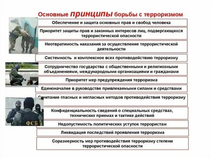 В чем заключаются принципы борьбы с терроризмом
