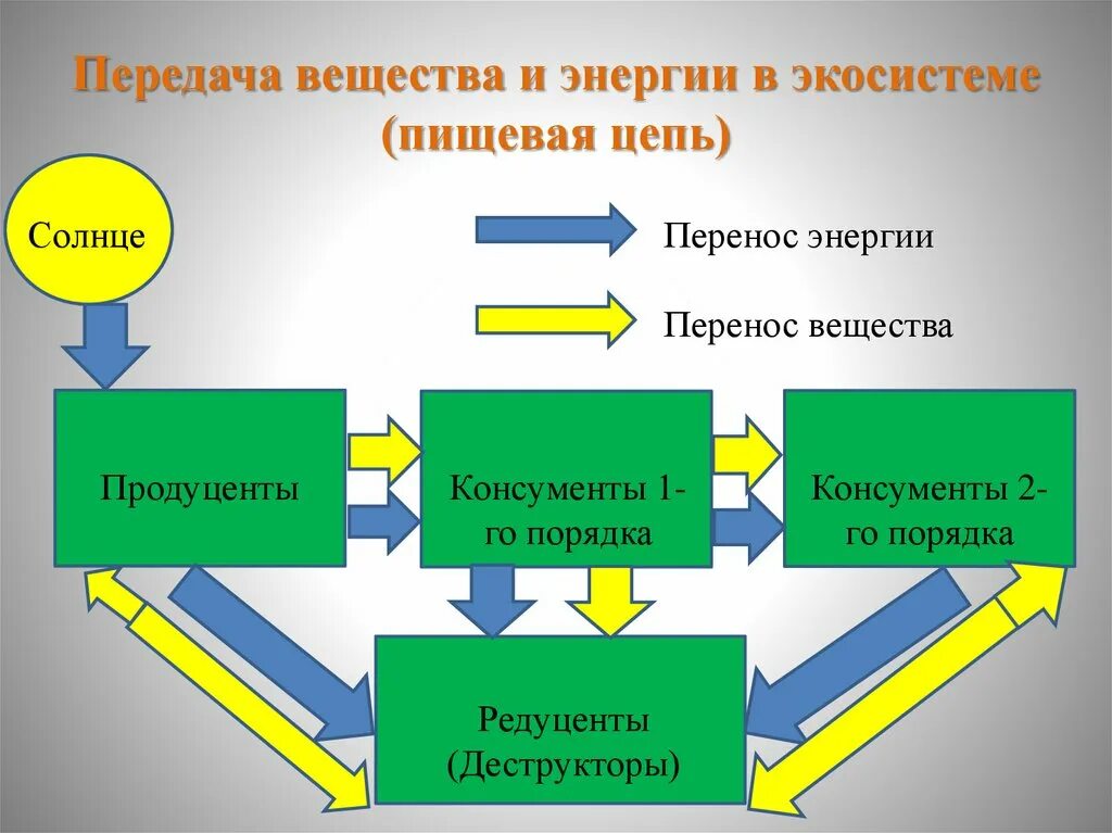 Начальным звеном пищевой цепи являются продуценты. Составление схем передачи веществ и энергии в экосистемах. Передача энергии в экосистеме. Потоки вещества и энергии в экосистеме. Схема потока энергии в экосистеме.