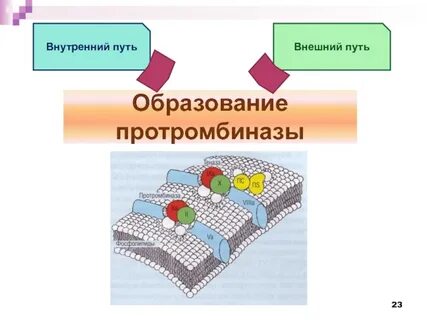 Состав путем