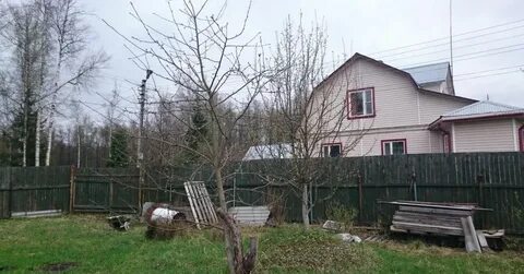 Вороново отзывы