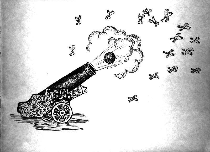 Из пушки по воробьям. Стрелять пушкой по воробьям. Стрелять из пушки по воробьям фразеологизм. Стрельба из пушки по воробьям. Происхождение фразеологизма кот в мешке.