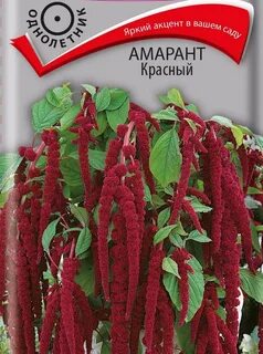 Амарант будь моей парой