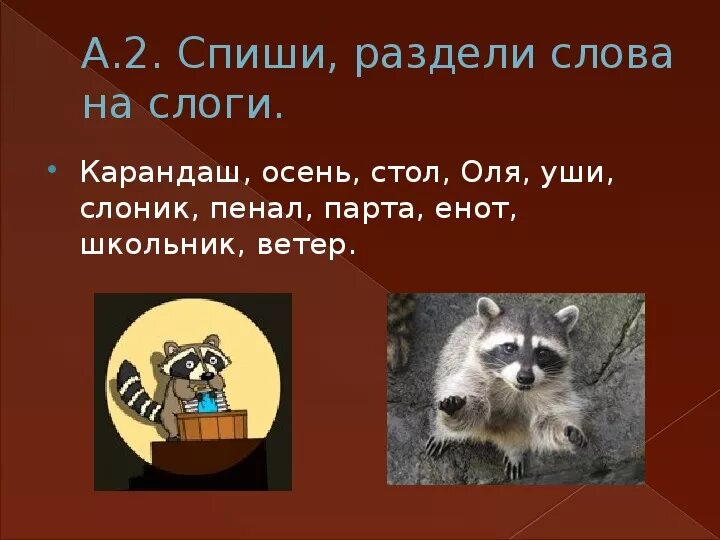 Енот количество звуков. Енот Разделение на слоги. Енот делится на слоги. Слово енот. Енот слоги.