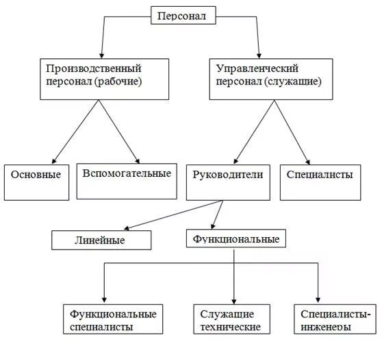 Категории специалистов в организации. Классификация персонала организации. Персонал организации классификация таблица. Классификация управленческого персонала. Классификация персонала предприятия схема.