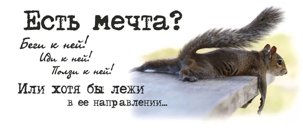 Лежи в направлении цели. Не можешь идти лежи в направлении. Не можешь идти лежи в направлении. Лежи в направлении. Ляг и лежи в направлении цели.