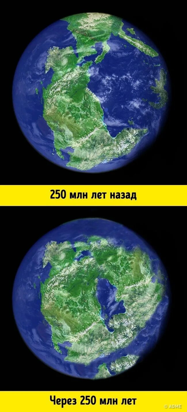 Через 5 лет земля. Планета земля 200 млн лет назад пангея. земля через. планета земля 10 млн лет назад. земля 250 млн лет назад.
