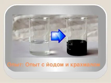 Опыт 0
