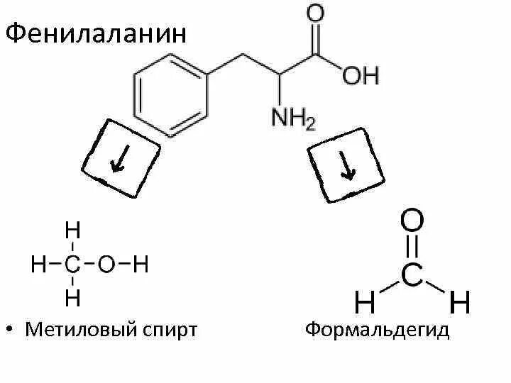 Метанол метиловый эфир. Этерификация фенилаланина. Фенилаланин реакция этерификации. Фенилаланин + этанол. Фенилаланин + метанол.