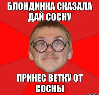 Дай сосну
