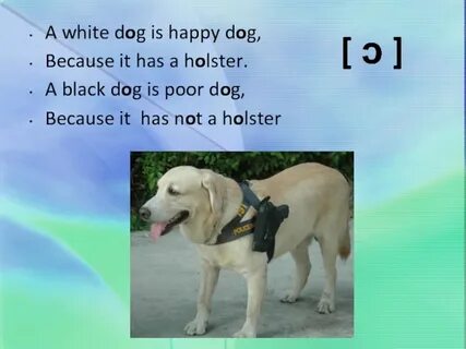 The dog happy is are am