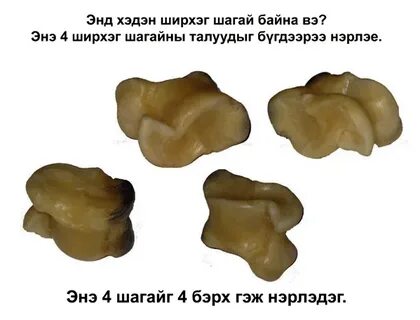 Гадай плюс