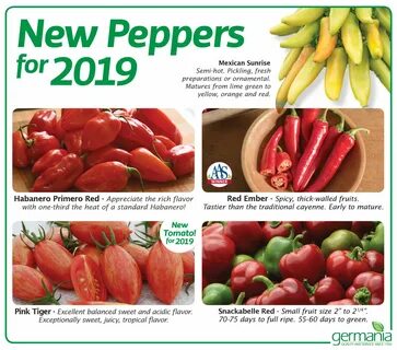 New peppers