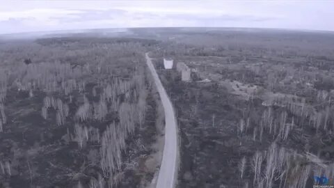 Зона видео 8