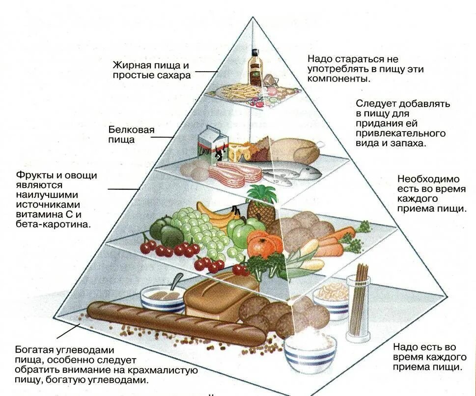 Какой из продуктов целесообразно давать