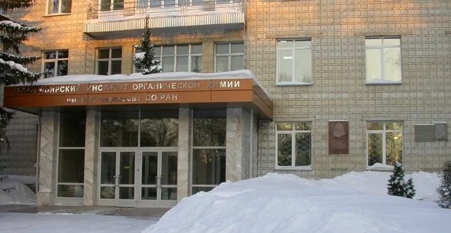 Н. Институт органической химии новосибирск. Институт органической химии со ран. Ворожцова. Ниох со ран новосибирск.