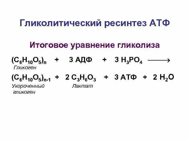 Синтез атф является процессом. Гликолитический путь ресинтеза атф схема. механизмы ресинтеза атф схемы реакций. синтез атф уравнение. суммарное уравнение реакции гликолиза.