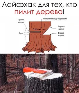 Нельзя пилить