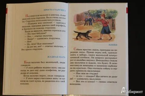 Рассказ осеевой сороки