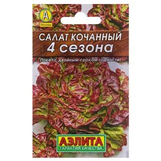 Салат 4