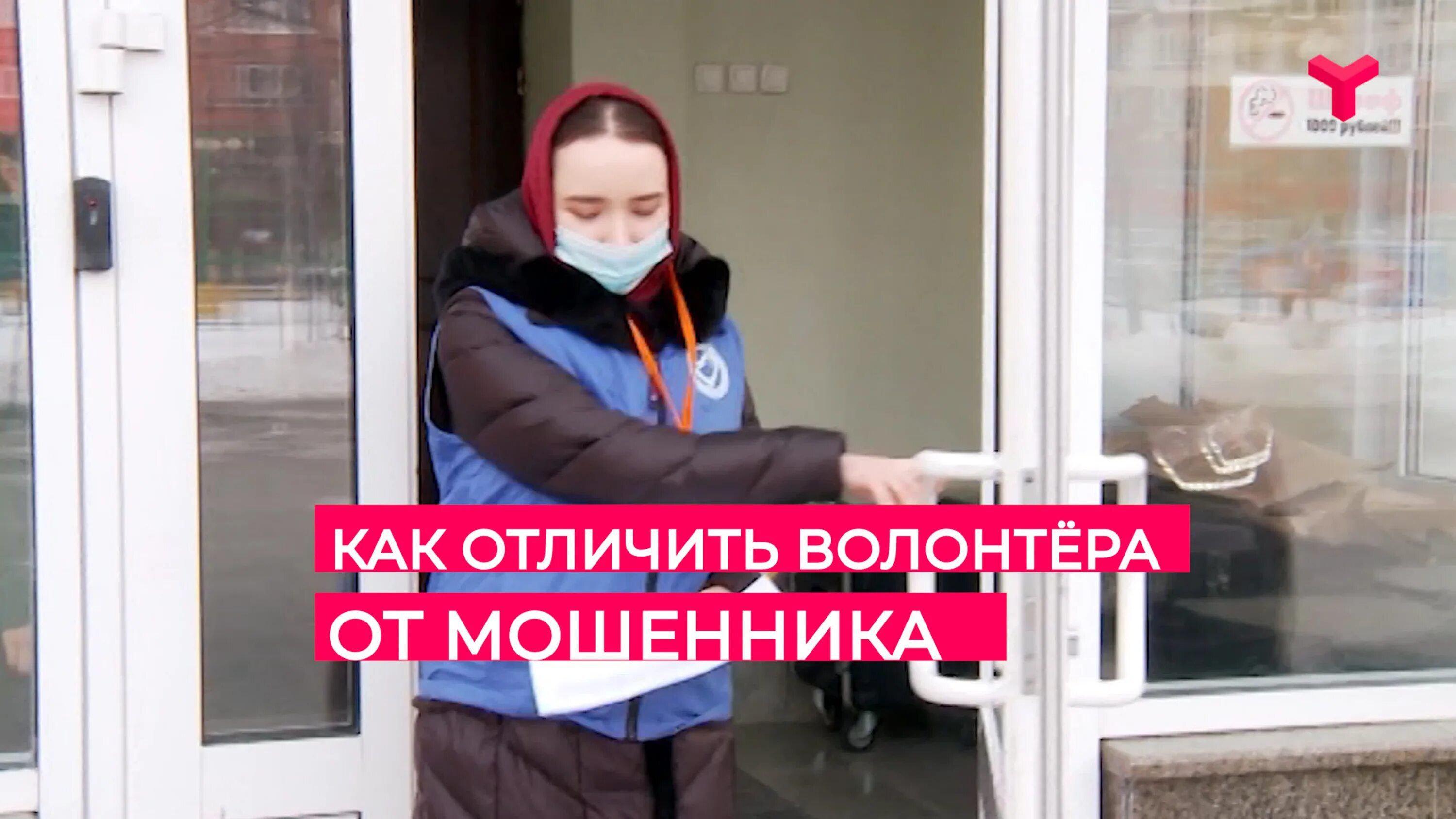 Волонтеры мошенники. Как отличить волонтера от мошенника. Жулики волонтеры. Отличие добровольца от волонтера.