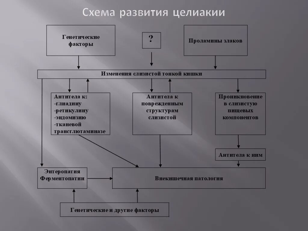 Целиакия диагностика у взрослых. Целиакия этиология патогенез. целиакия патогенез иммунология. глютеновая энтеропатия патогенез. патогенез целиакии схема.